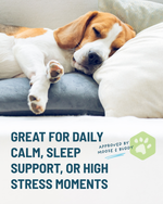 Dog sleeping on a couch with text about sleep support and stress relief.