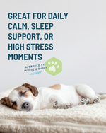 Dog lying on a blanket with text about stress relief and approval by Moose & Buddy.