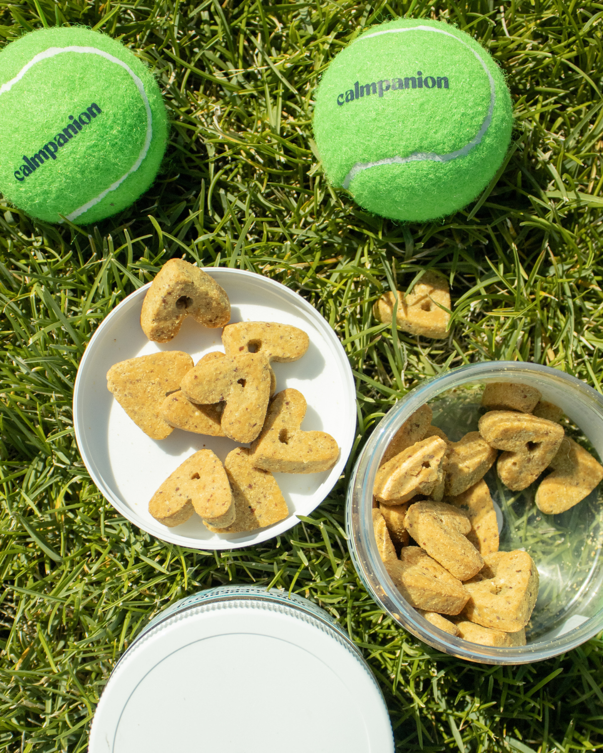 Daily Calming + Wellness Hemp Pet Chews